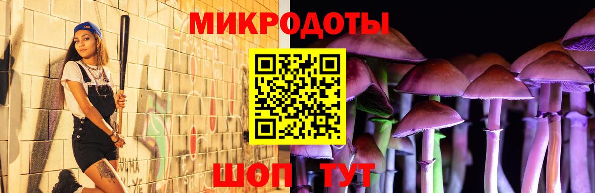 Назрань  наркота  Вход с VPN  Псилоцибиновые грибы Psilocybine cubensis 